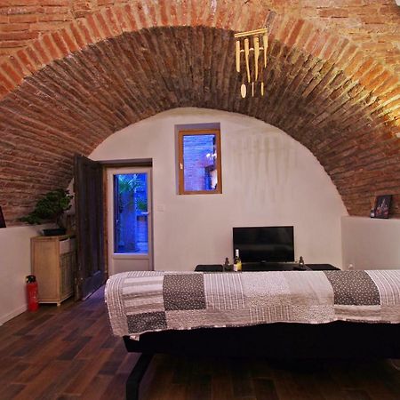 Le Pialou Apartment Albi Bagian luar foto