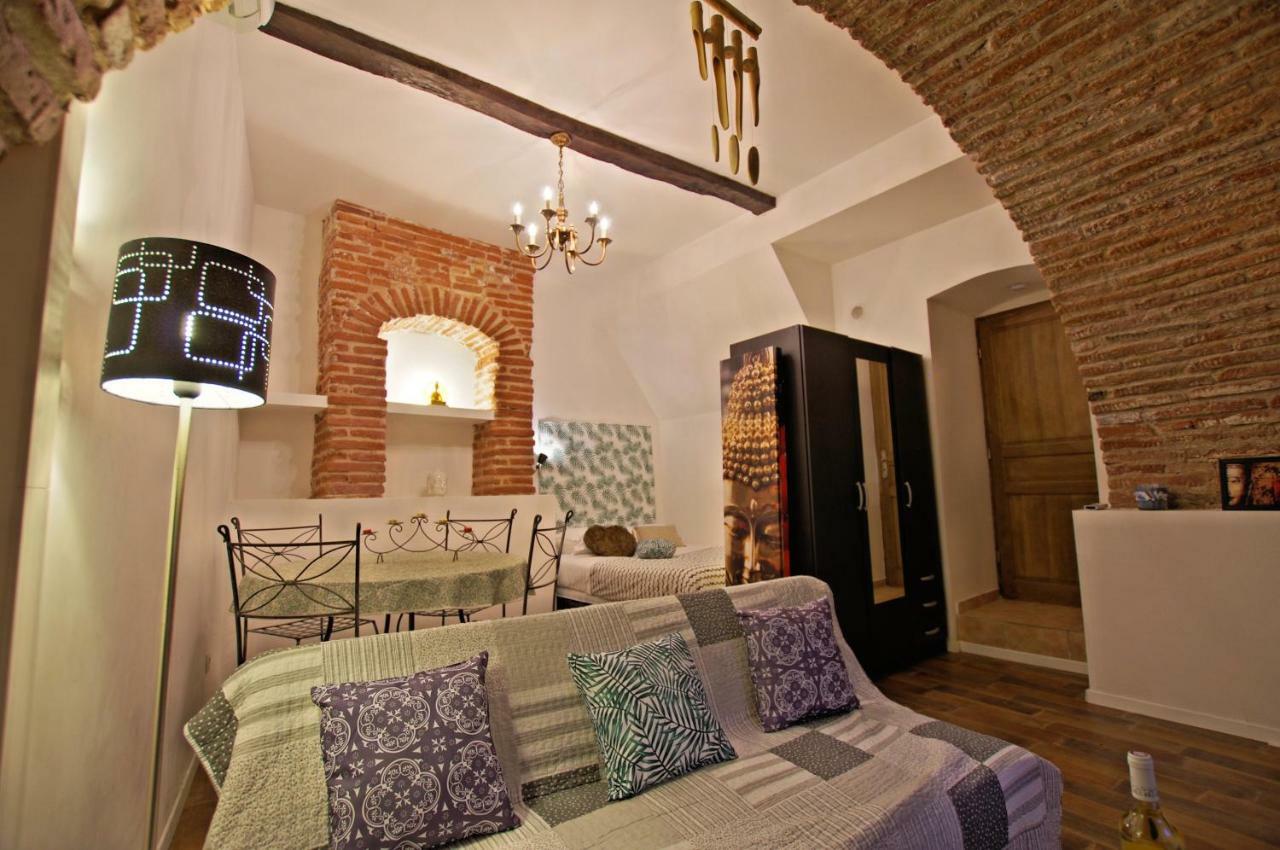 Le Pialou Apartment Albi Bagian luar foto